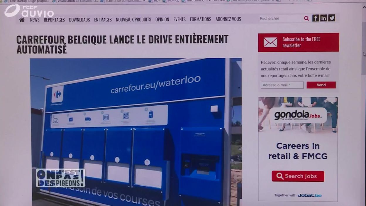 anti pigeon carrefour