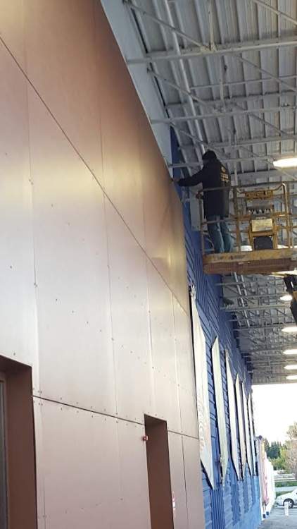 anti pigeon carrefour