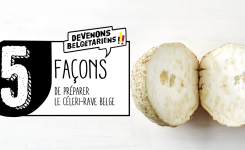 anti pigeon carrefour