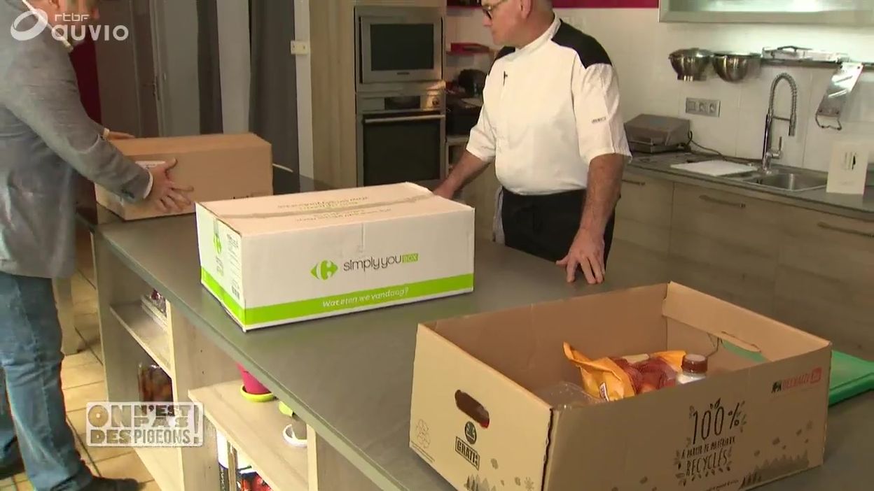 anti pigeon carrefour