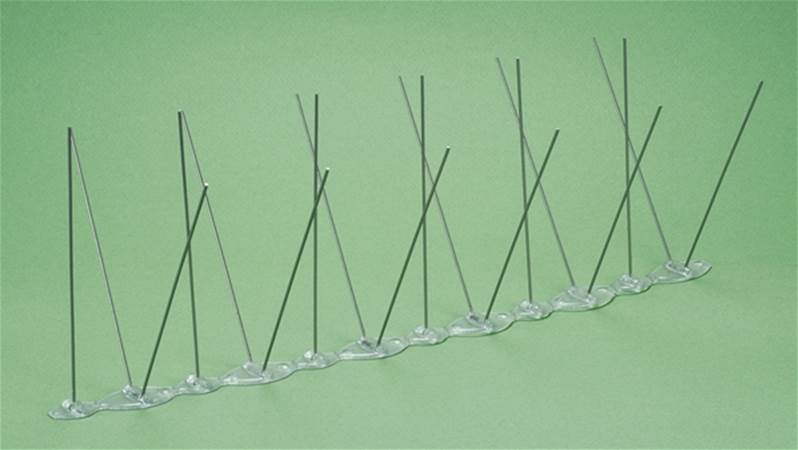 anti pigeon ecopic ultra 2