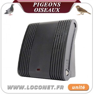 anti pigeon electronique professionnel
