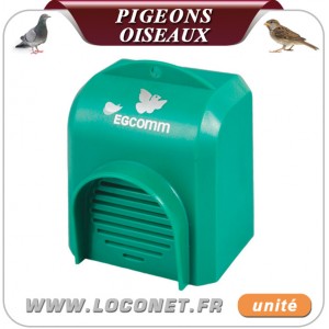 anti pigeon electronique professionnel