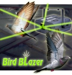 anti pigeon laser