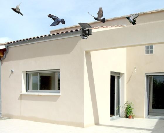 anti pigeon solaire