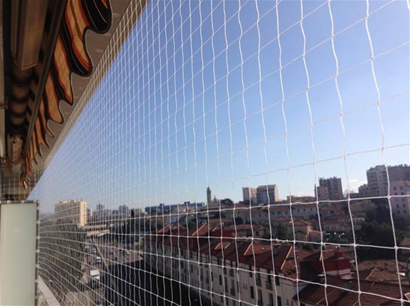 filet anti pigeon blanc