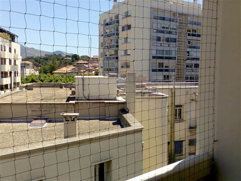 filet anti pigeon blanc