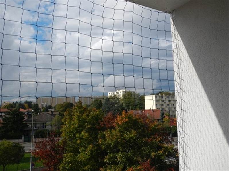 filet anti pigeon blanc