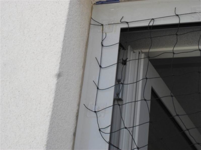 filet anti pigeon professionnel