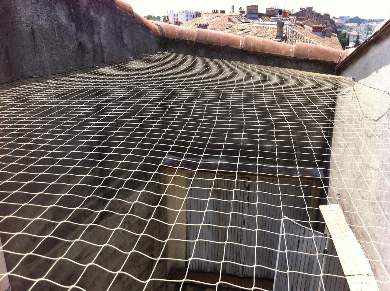 filet anti pigeon professionnel