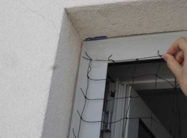 filet anti pigeon sel