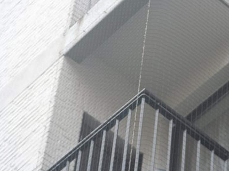 filet protection anti pigeon