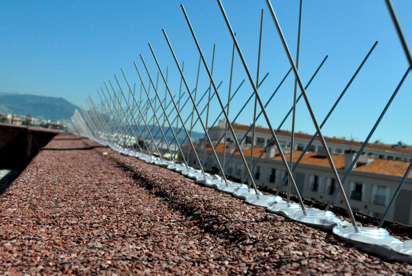 installation pic anti pigeon