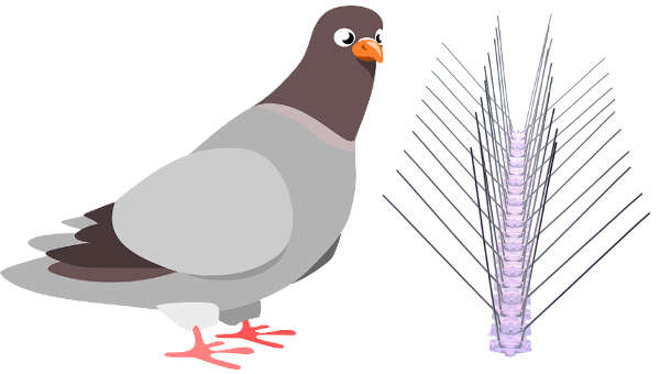 installation pic anti pigeon