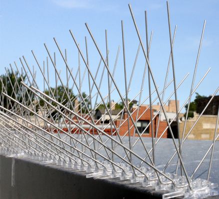 installation pic anti pigeon