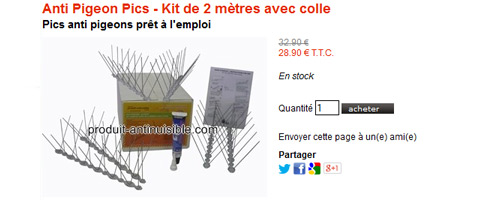 installation pic anti pigeon