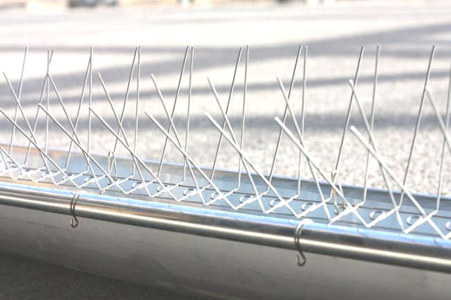 installation pic anti pigeon