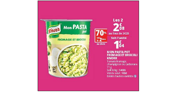 pic anti pigeon auchan