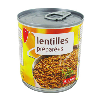 pic anti pigeon auchan