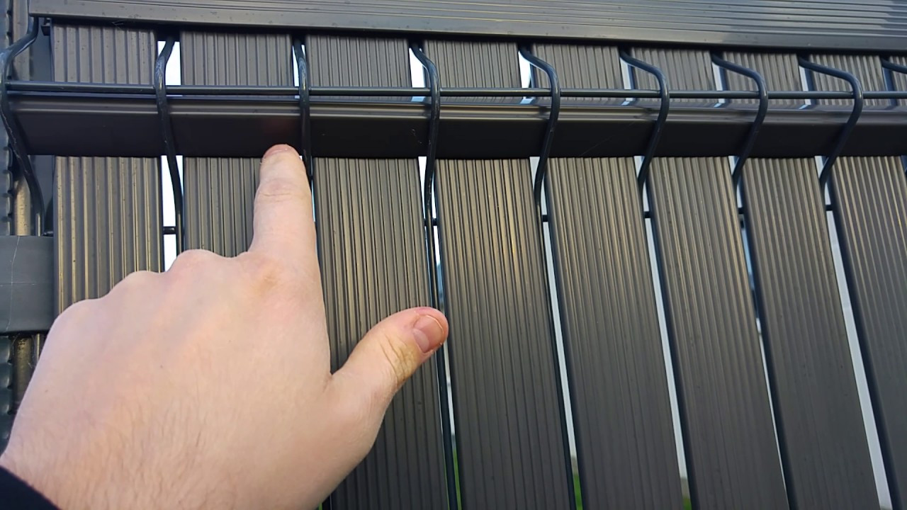 pic anti pigeon lyon