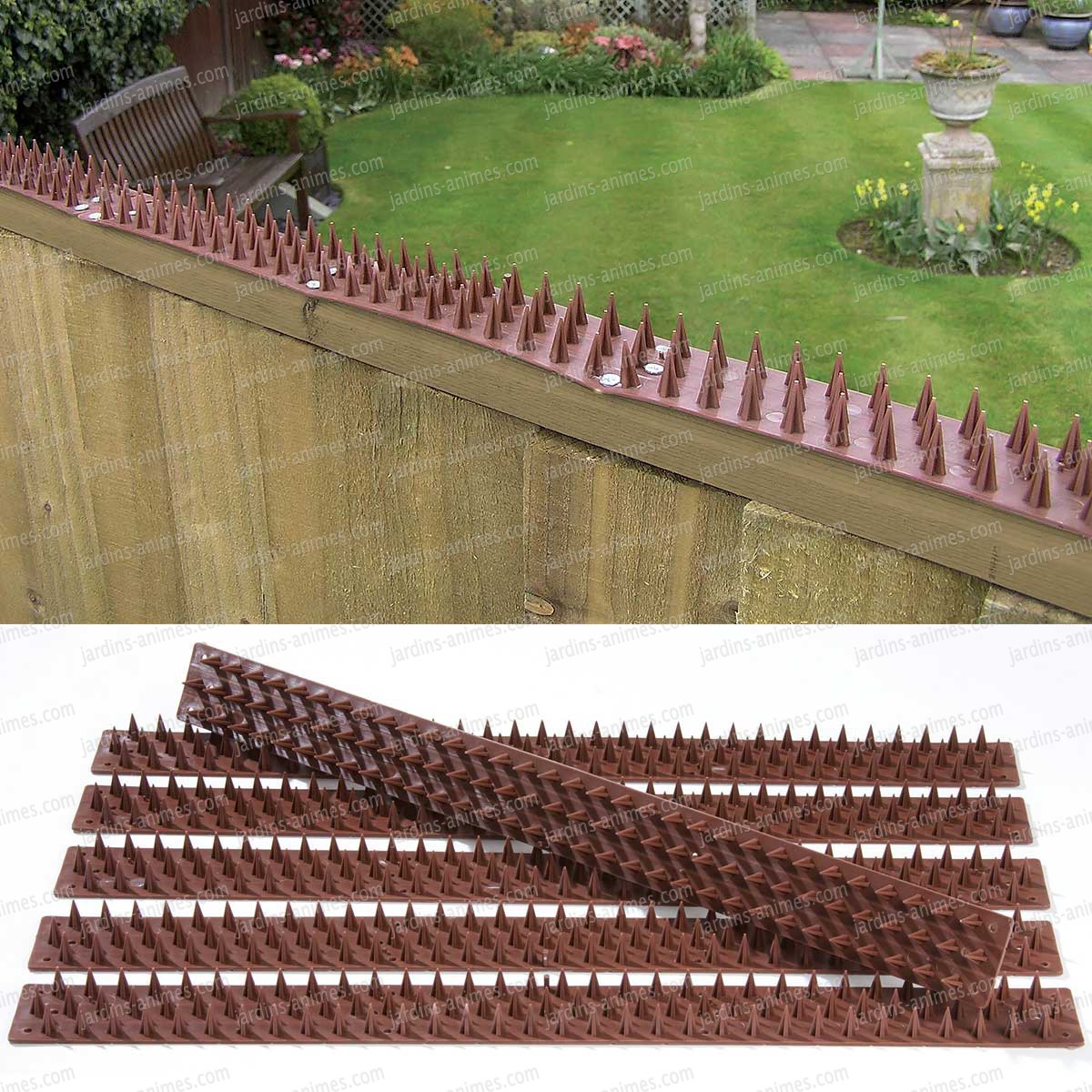 pic anti pigeon suisse