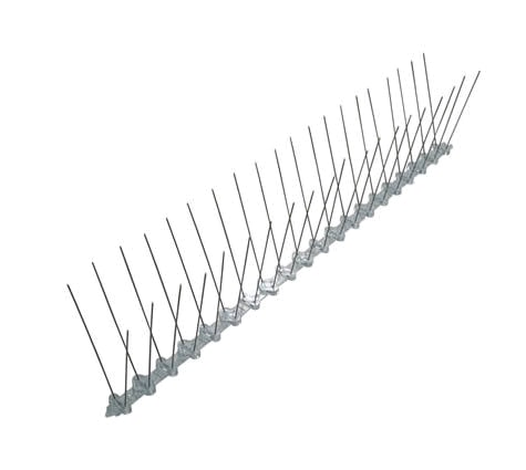 pic anti pigeon suisse