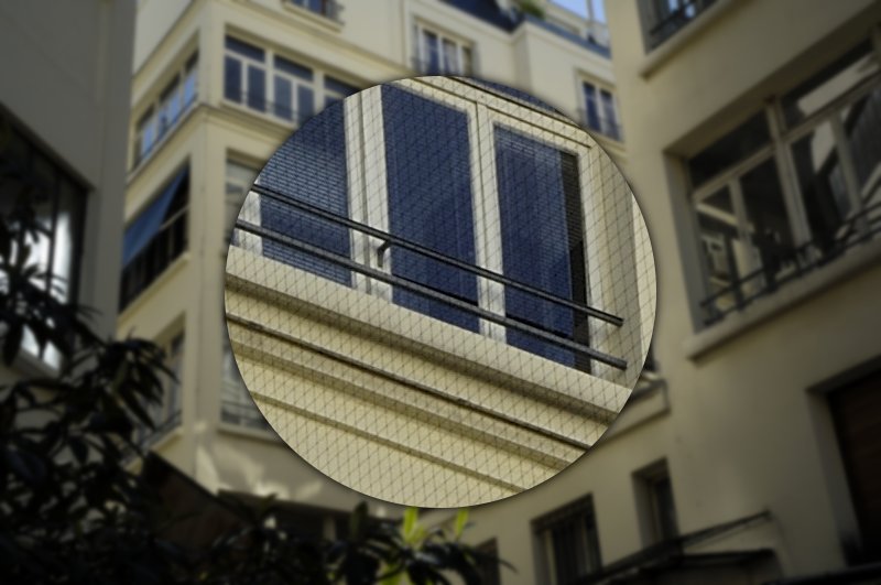 pic anti pigeon transparent