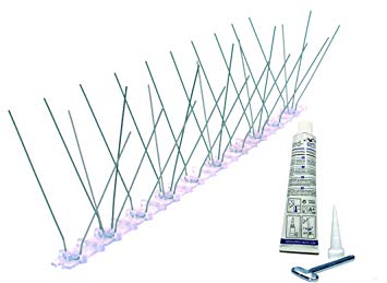 pic anti pigeon transparent