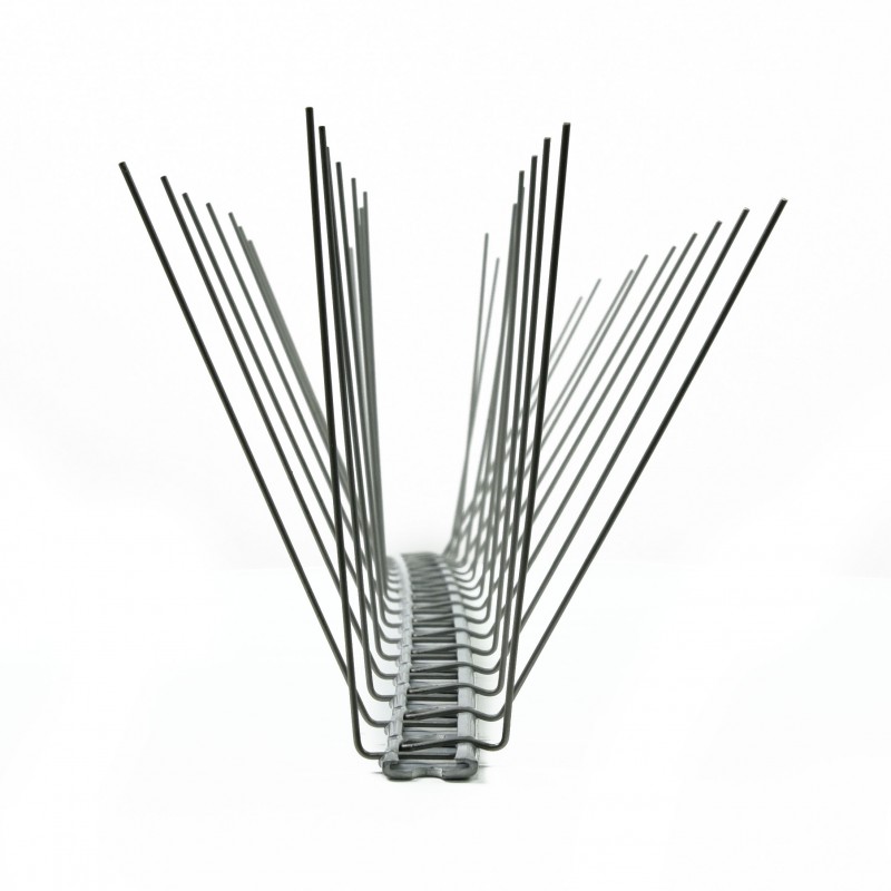 pic anti pigeon transparent