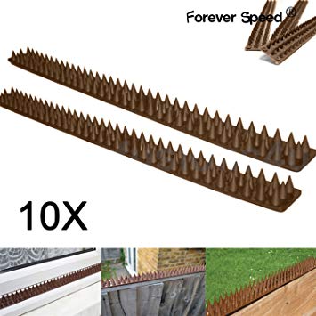 pics anti oiseaux plastique