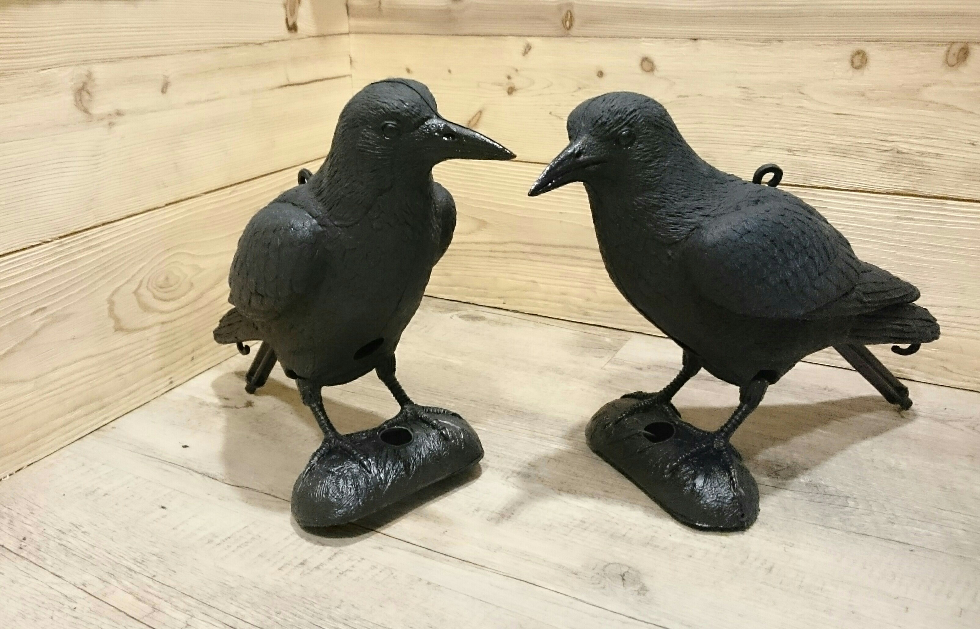 pics anti oiseaux plastique