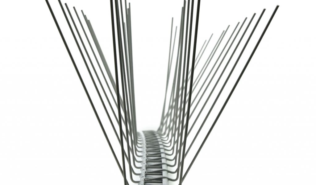 pics anti oiseaux plastique