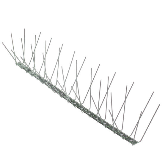 pics anti pigeons depigeonal