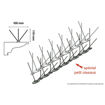 pics anti pigeons depigeonal