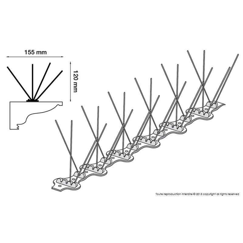 pics anti pigeons depigeonal