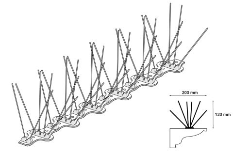 pics anti pigeons depigeonal