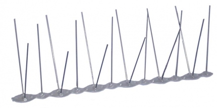 pics anti pigeons lucifer