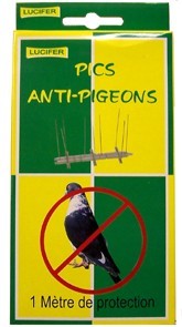pics anti pigeons lucifer