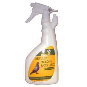 pics anti pigeons lucifer