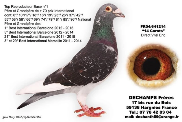 piege a pigeon en 11 lettres