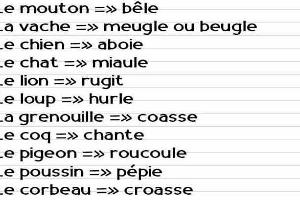 piege a pigeon en 11 lettres