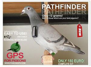 piege a pigeon en 11 lettres