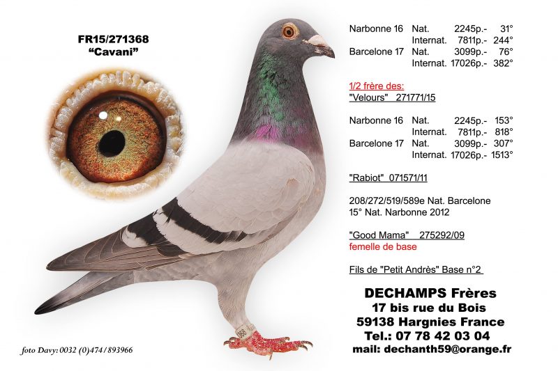 piege a pigeon en 11 lettres