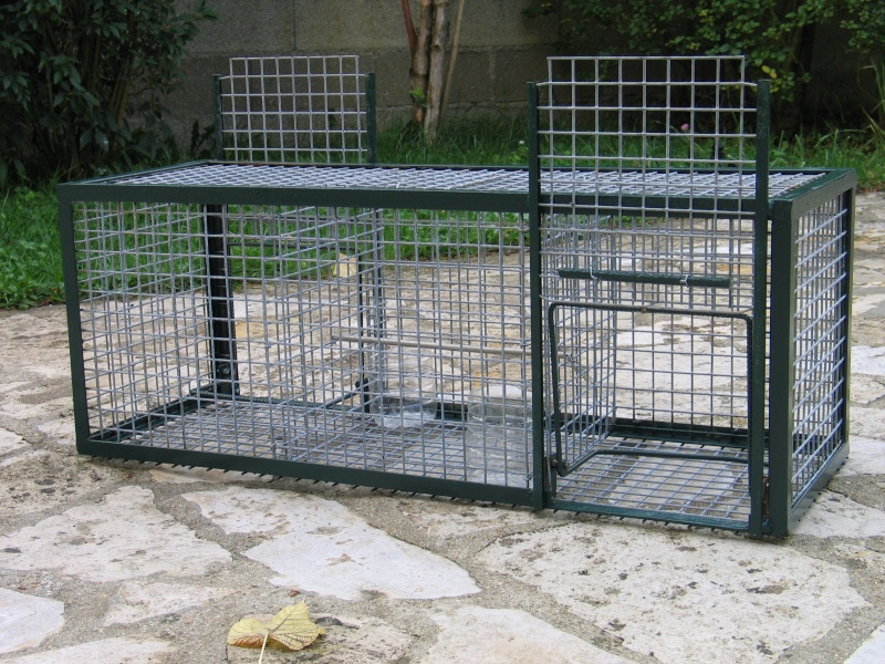plan cage piege pour pigeon