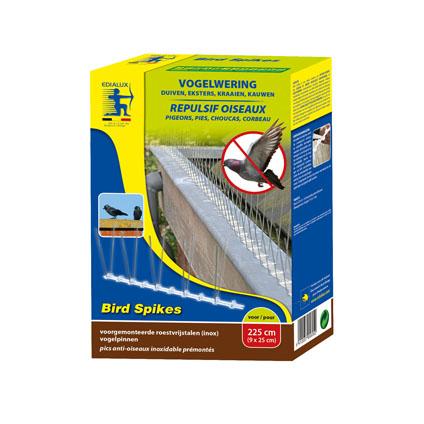 repulsif pigeon mr bricolage