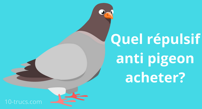 repulsif pigeon naturel