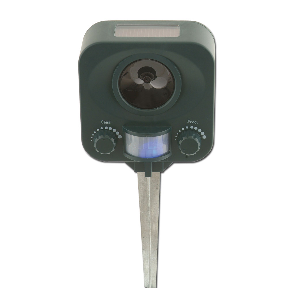 repulsif pigeon ultrason solaire